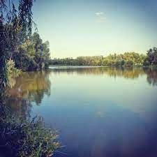 Pollys Pond
